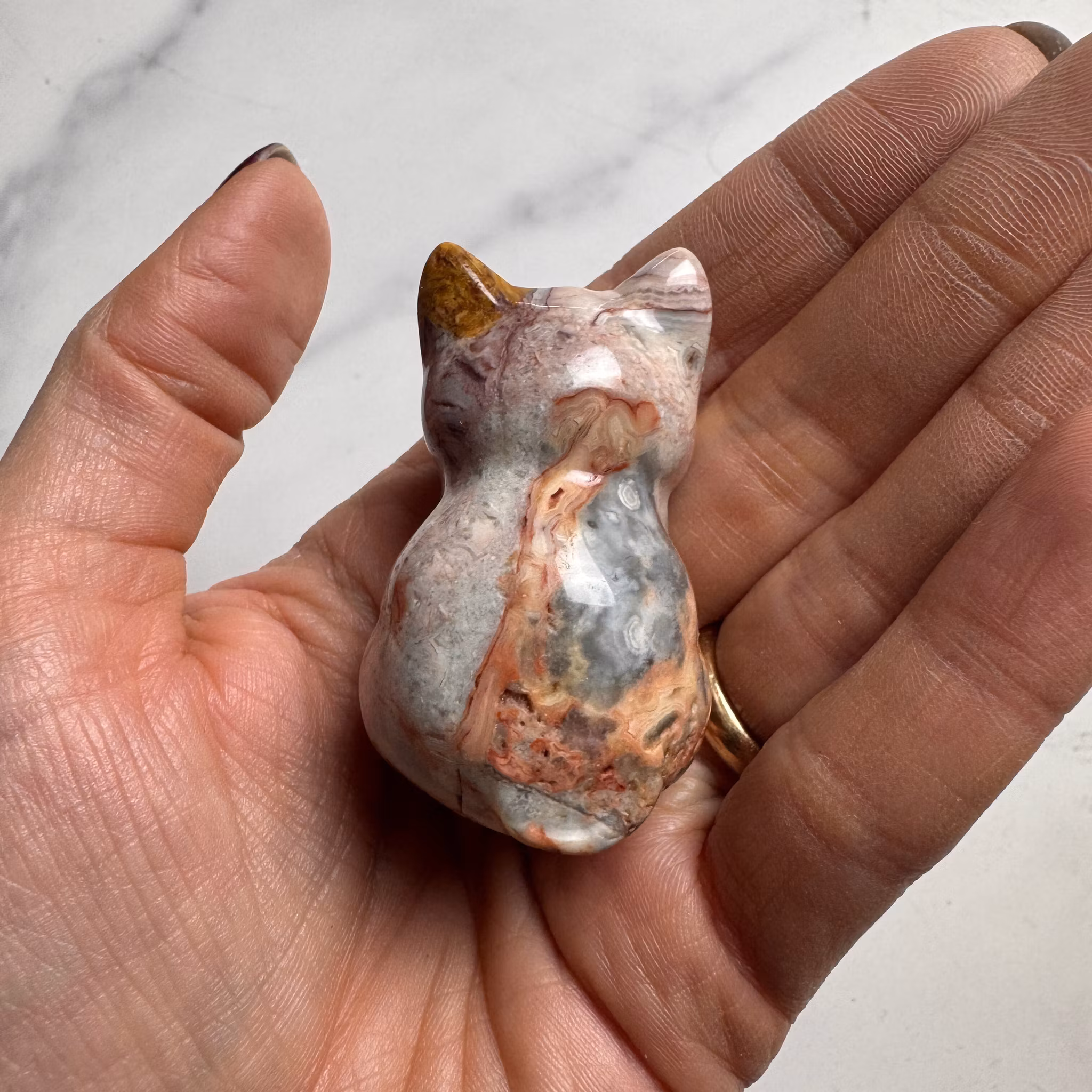 Crazy Lace Agat Katt nr 1