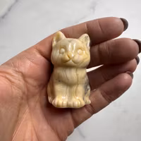 Crazy Lace Agat Katt nr 2