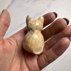 Crazy Lace Agat Katt nr 2