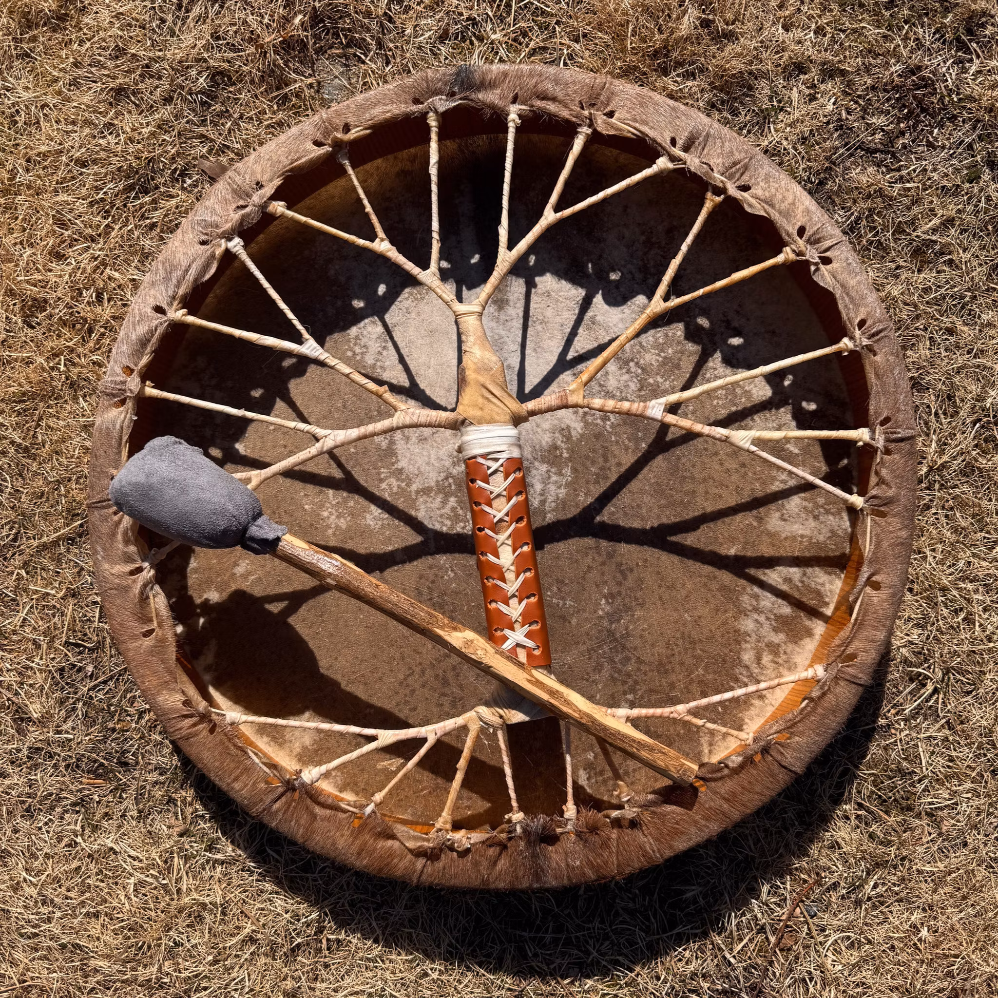 Shamantrumma Livets träd 2 - 50 cm