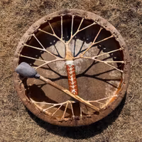 Shamantrumma Livets träd 2 - 50 cm