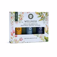 Wellness – Set med eteriska oljor, 3 x 5 ml, Song of India
