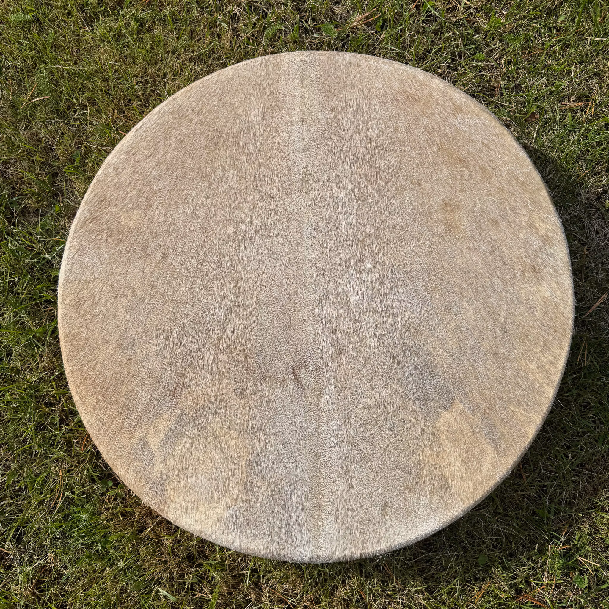 Shamantrumma med Getskinn Livets Träd nr 1 - 50 cm