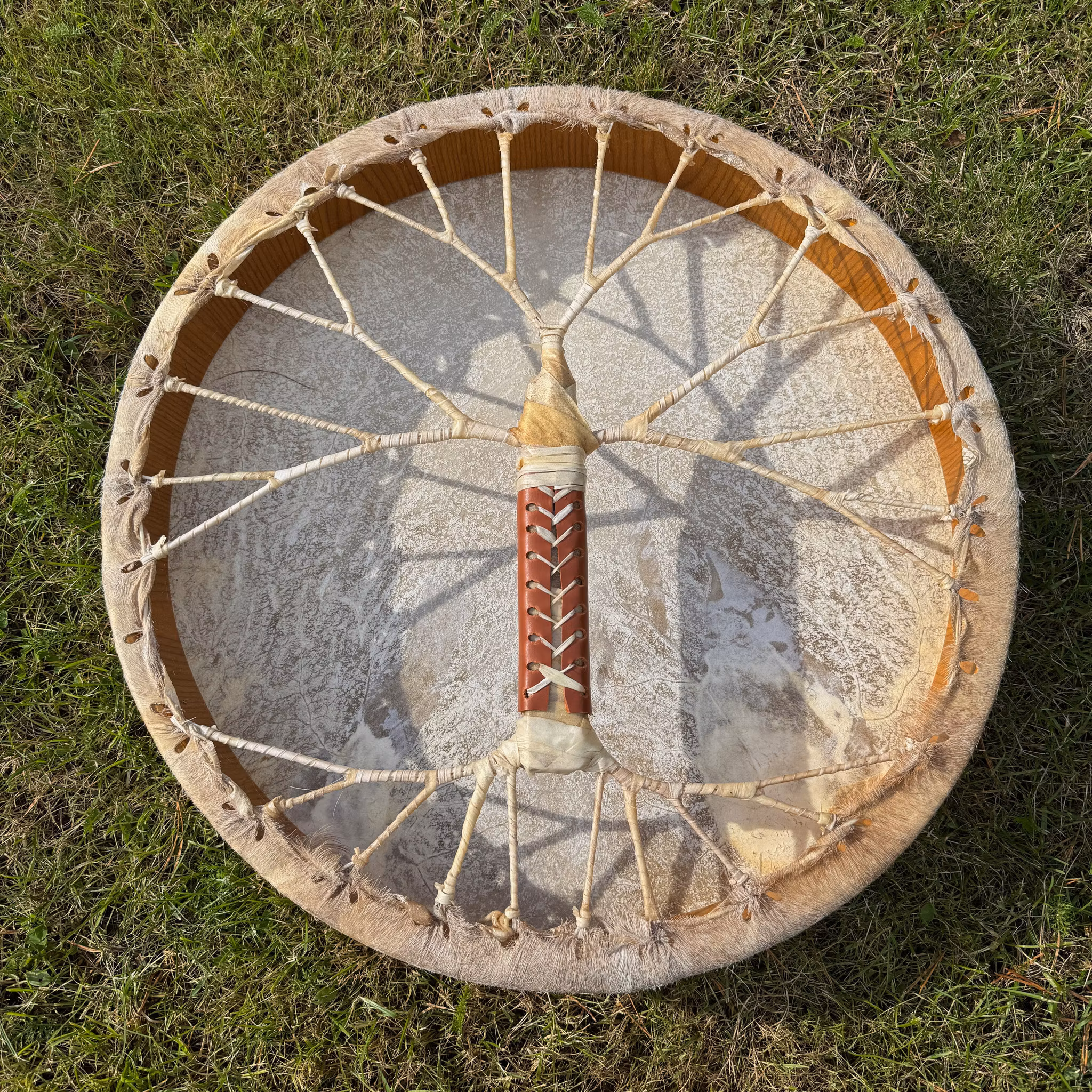 Shamantrumma med Getskinn Livets Träd nr 1 - 50 cm