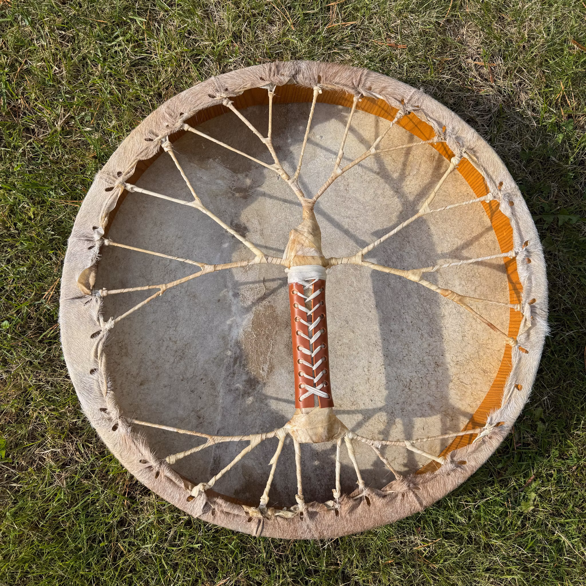 Shamantrumma med Getskinn Livets Träd nr 2 - 50 cm