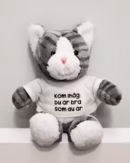 Gosedjur: Katt med t-shirt