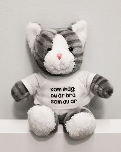 Gosedjur: Katt med t-shirt