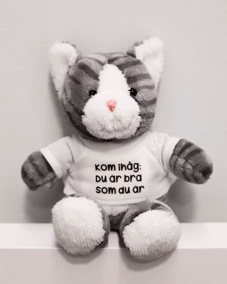Gosedjur: Katt med t-shirt