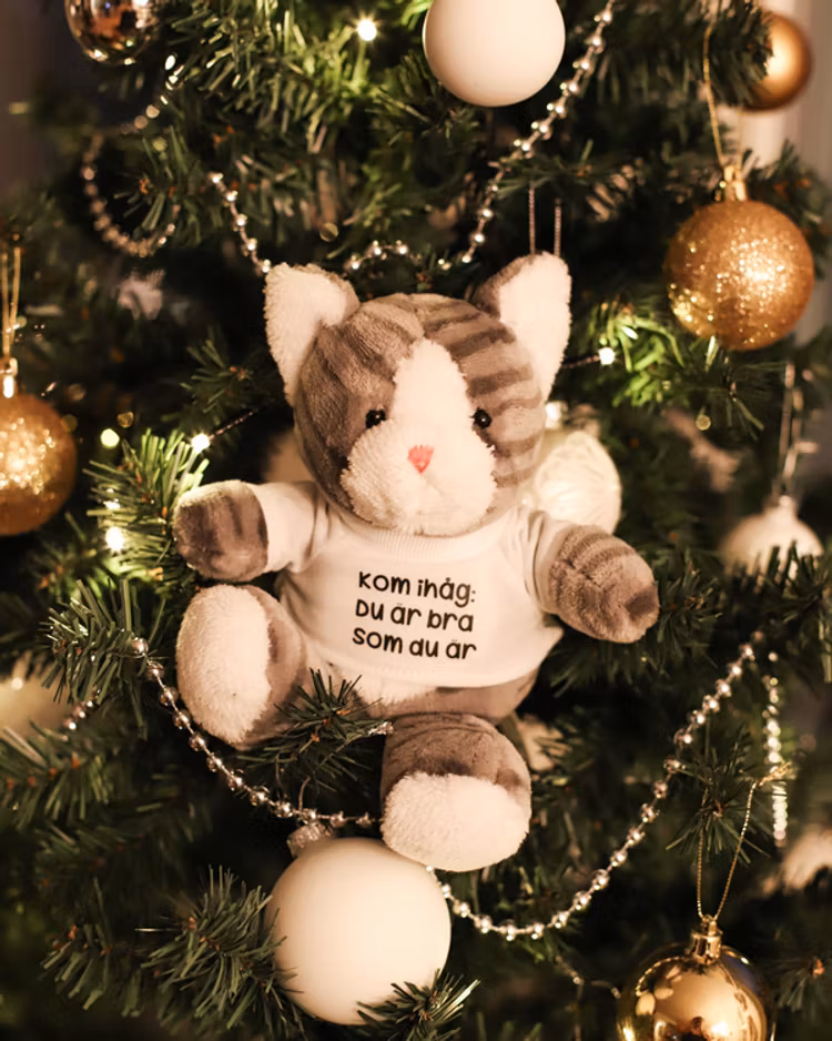Gosedjur: Katt med t-shirt