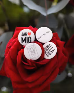 Paket med fyra pins