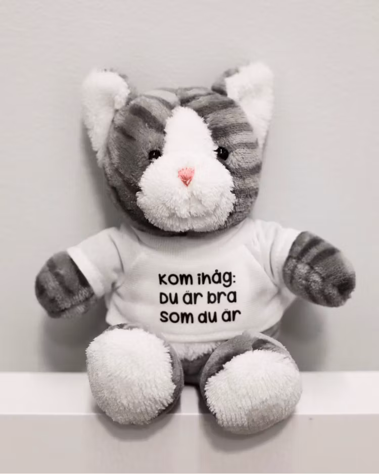 Christmas bundle: Gosedjur + träningsväska