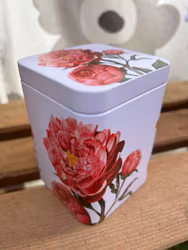 Burk Pion Rosa