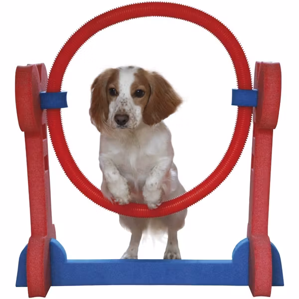 Agility - Hoppring