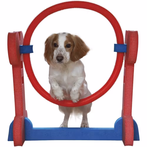Agility - Hoppring
