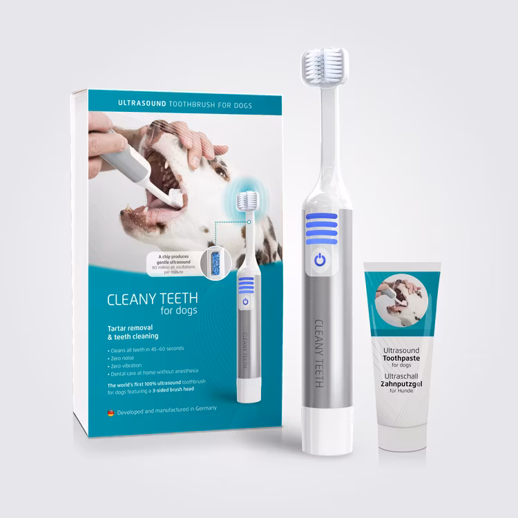 Ultraljudstandborste Startkit