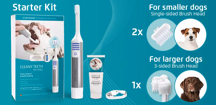 Ultraljudstandborste Startkit
