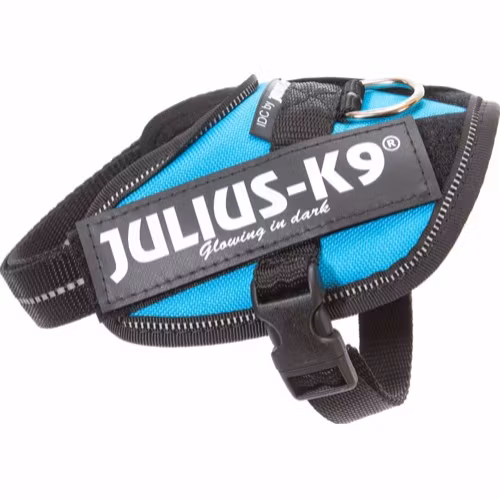 Juliussele