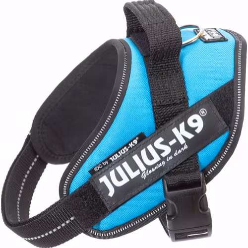 Juliussele