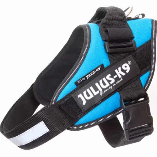 Juliussele