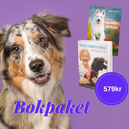 Bokpaket - Kurslitteratur