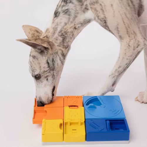 Pawzler Rainbow Set