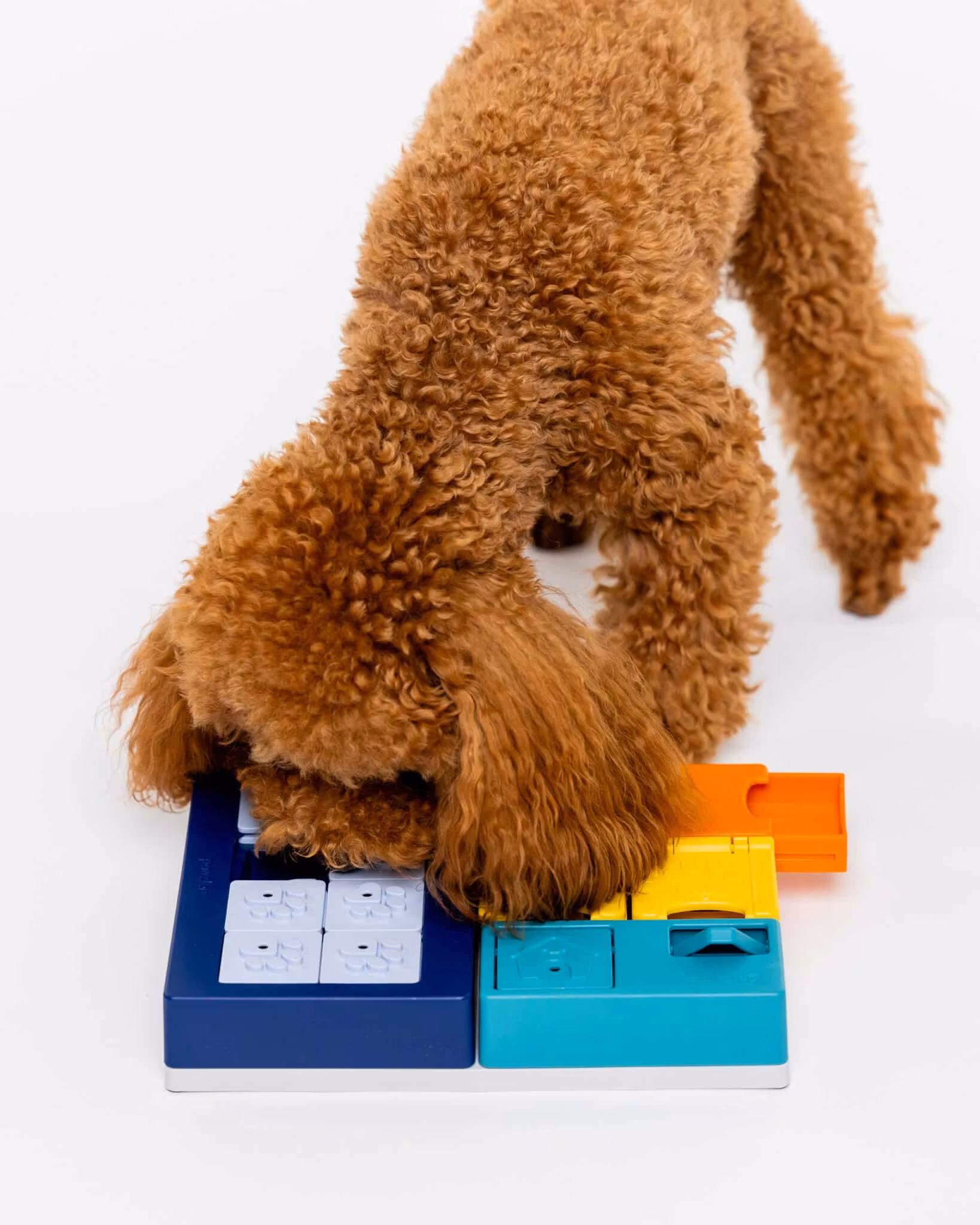 Pawzler Smarty Set