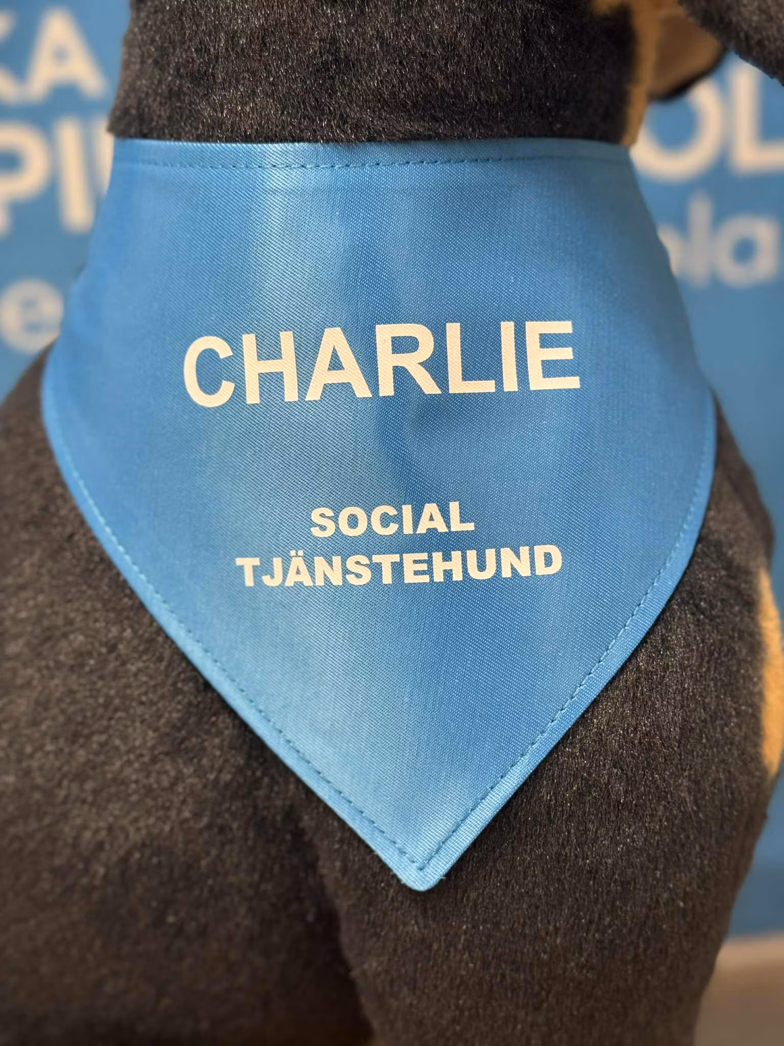 Tjänstetecken med tryck