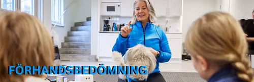 Förhandsbedömning ELMIA