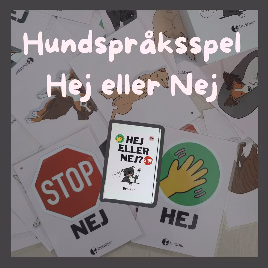 Hundspel om hundspråk – Hej eller Nej