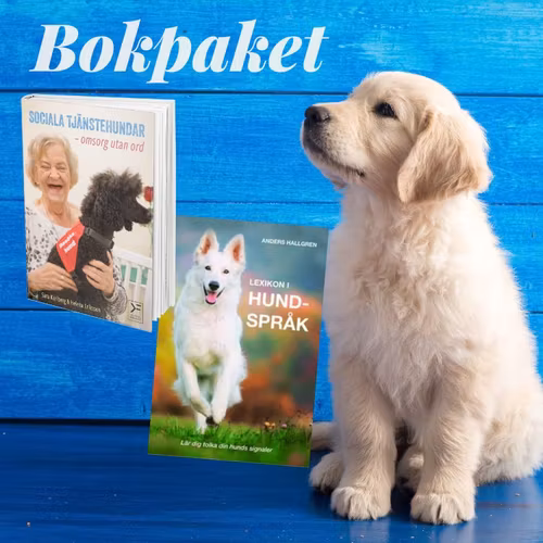 Bokpaket - Kurslitteratur