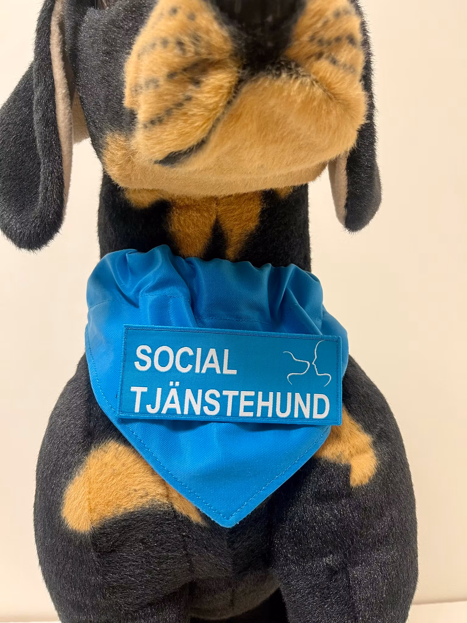 Tjänstetecken med kardborre (scarf)