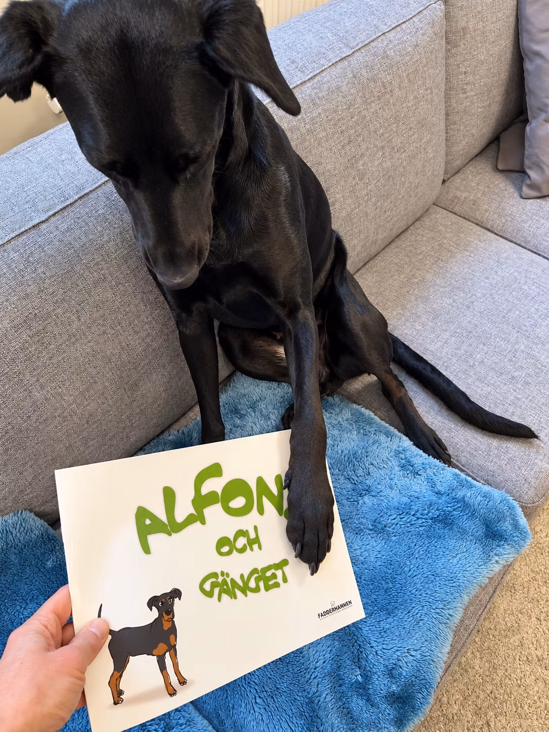 Alfonz och gänget