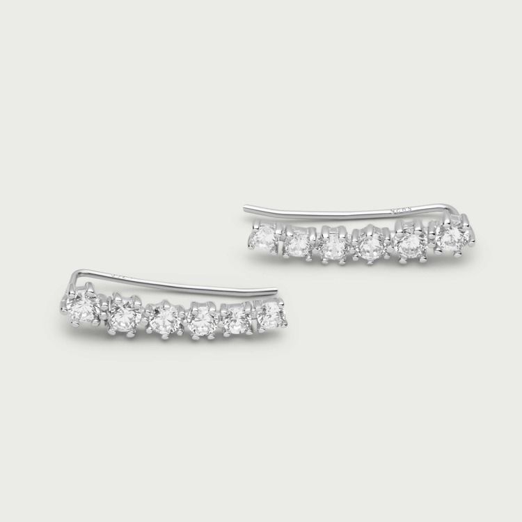 Dazzling earrings silver