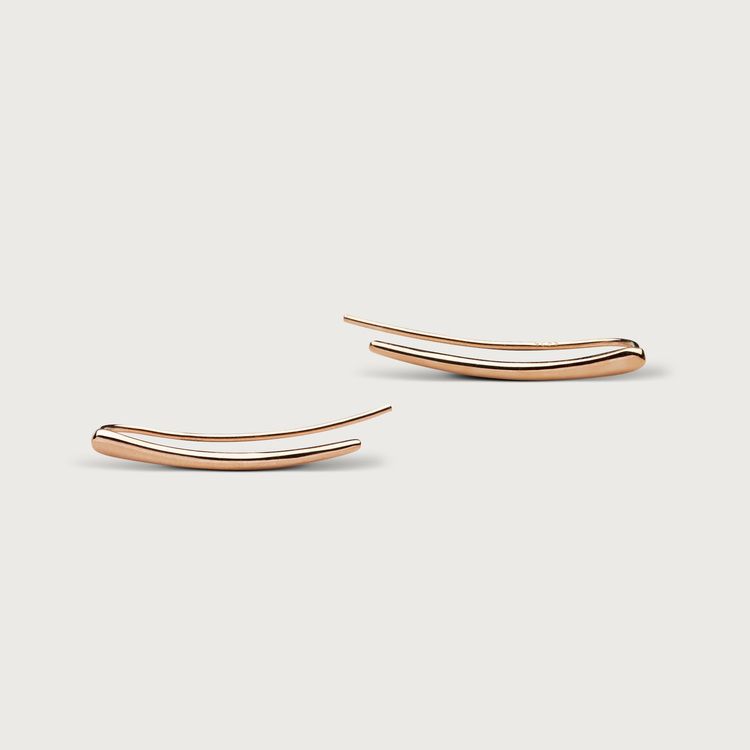 Vibes earrings gold plated