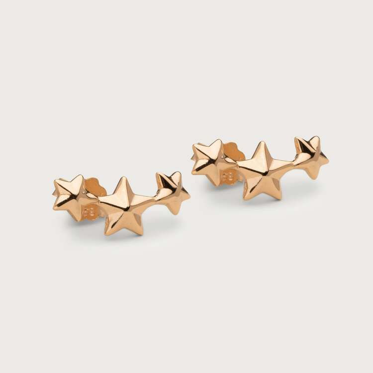 Stardust earrings