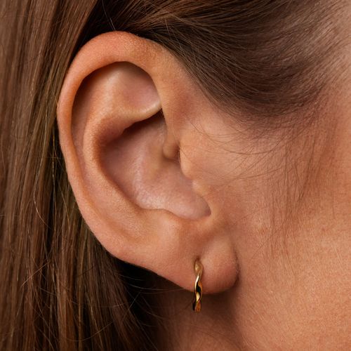 Little Nook earrings