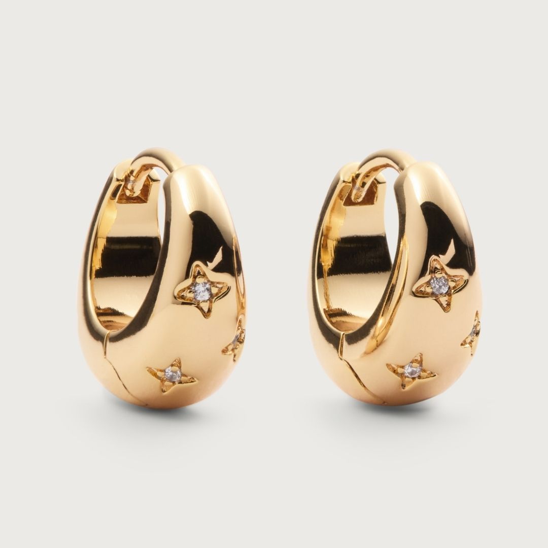 Gaze earrings