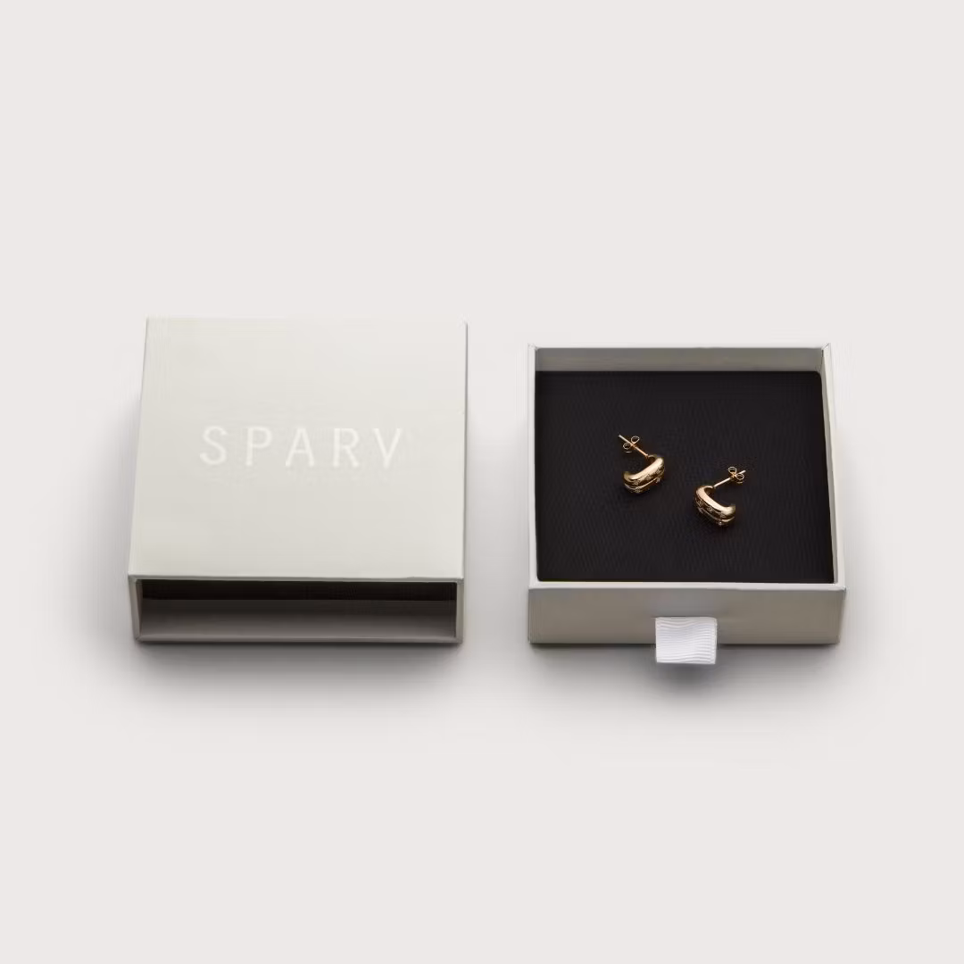 Duo earrings