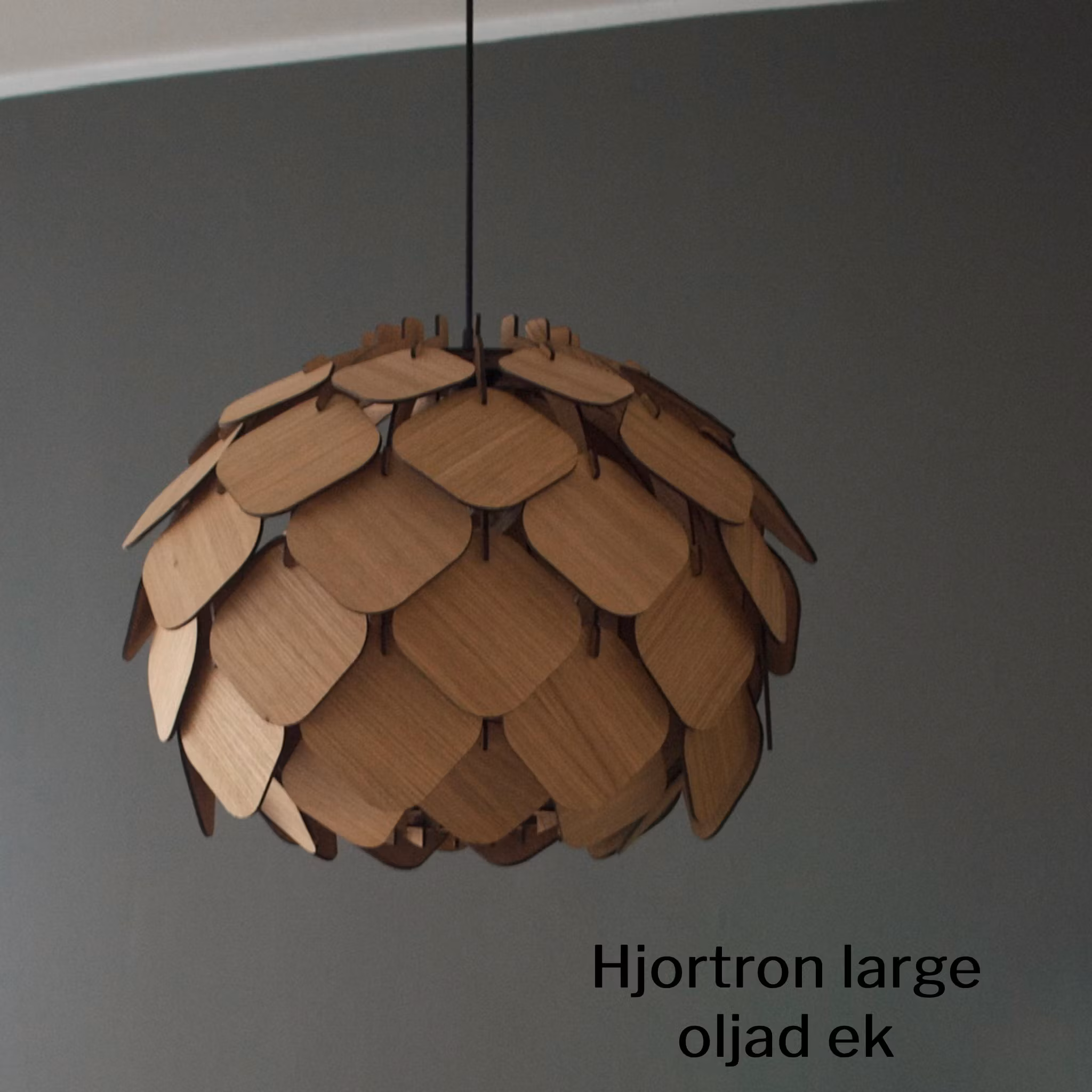 Taklampa - Hjortron