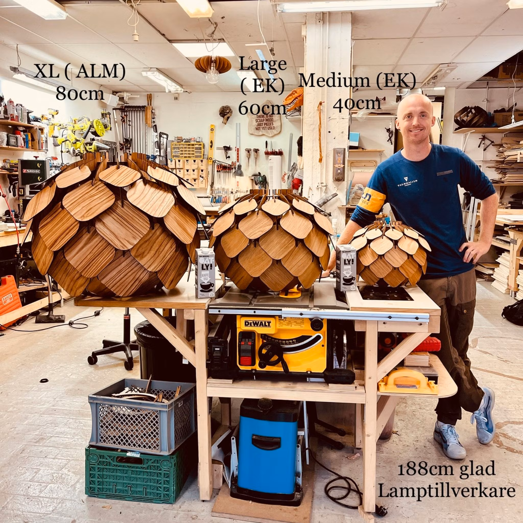 Taklampa - Hjortron