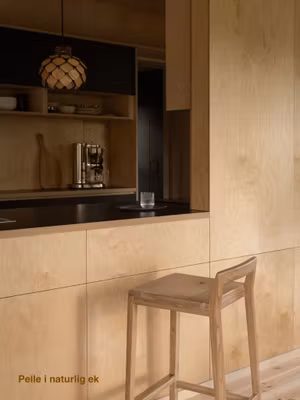 Modern barstol i massiv ek - Barstolen Pelle