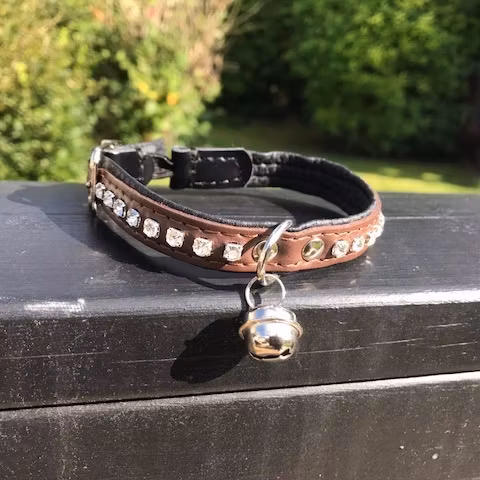 Pixie Cat Collar - Brun