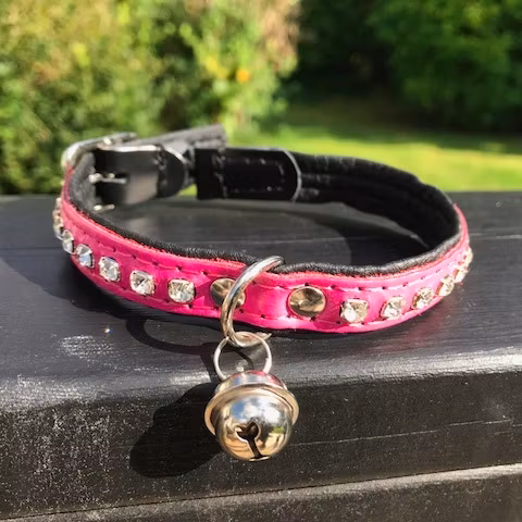 Pixie Cat Collar - Rosa
