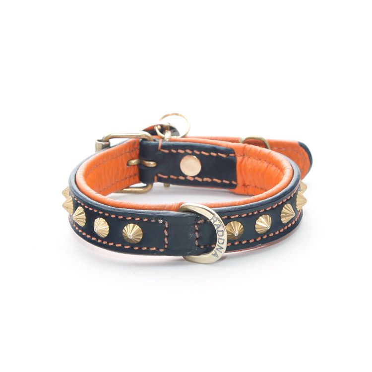 Poppy Hundhalsband -  Orange Brass
