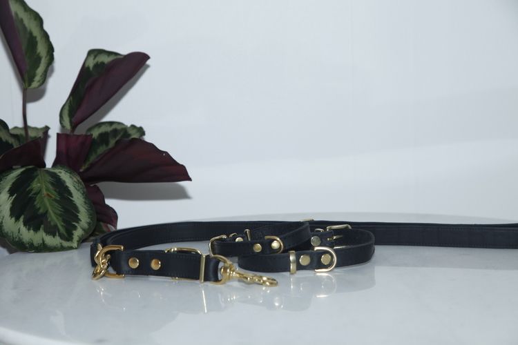 LA Hundhalsband - Black Brass
