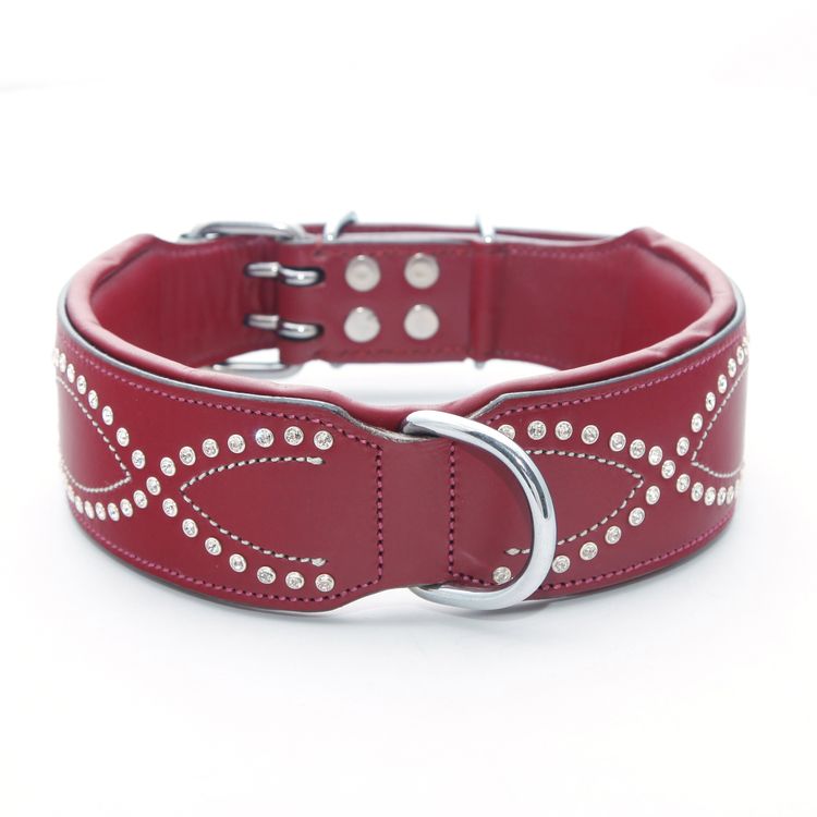 Lapporten Hundhalsband