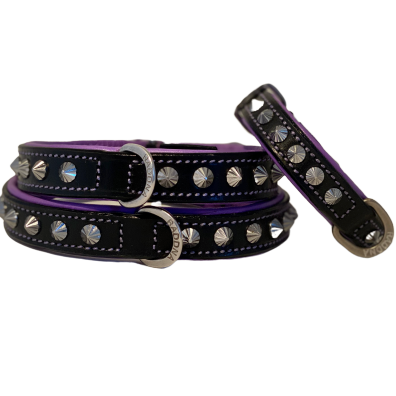 hundhalsband läder poppy lila med silvernitar