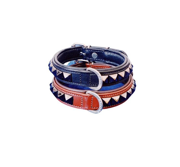 Lillpite Hundhalsband - Black