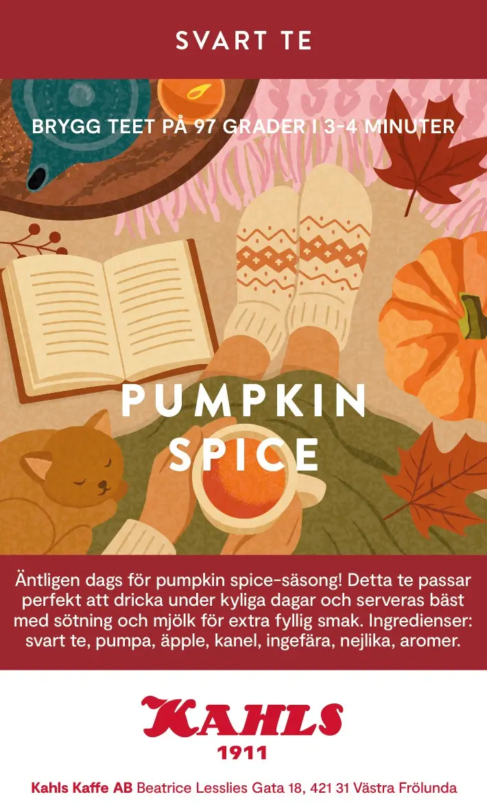 Te Svart Pumpkin Spice lösvikt, 100g.