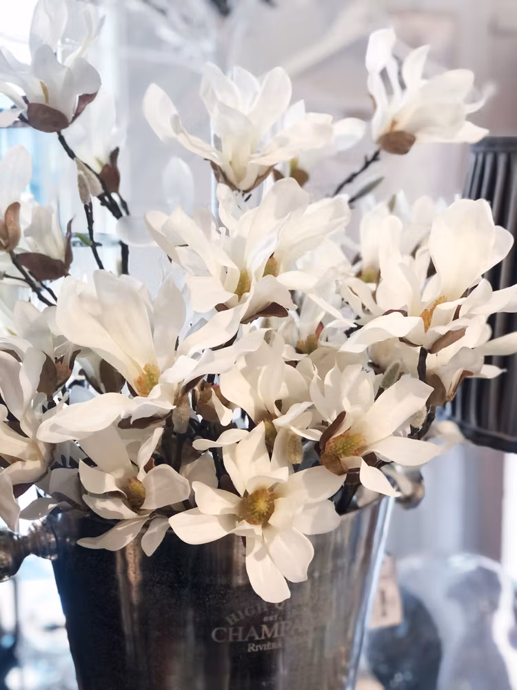 Magnolia gren vit